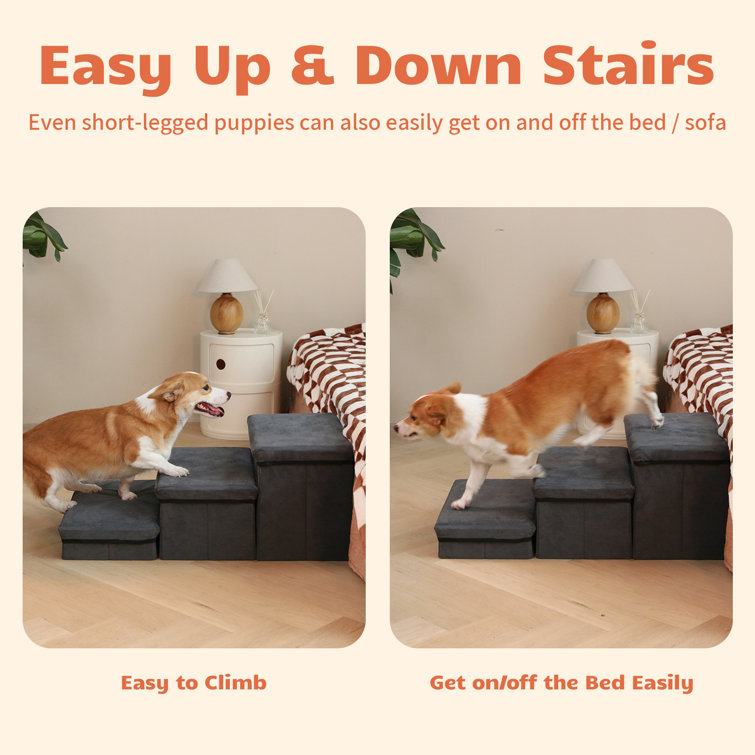 Wayfair 2024 dog steps